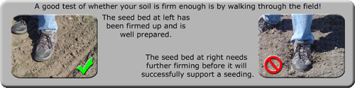 seedbeds